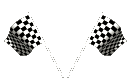 ani-flags-2-checkered-racing.gif
